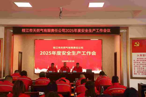 攜手共筑安全防線(xiàn)，共創(chuàng)安全生產(chǎn)新篇章——2025年度安全生產(chǎn)工作會(huì)議圓滿(mǎn)召開(kāi)